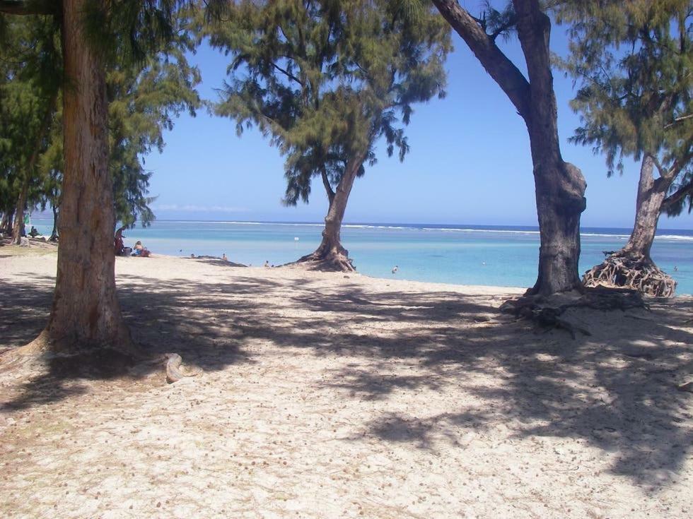 Le Saint Geran - A 3Mn A Pied De La Plage Et De Tous Commerces La Saline Le Bains Dış mekan fotoğraf